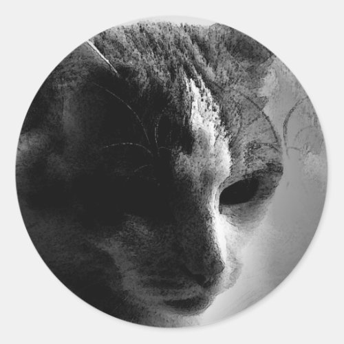 BW Cat Face Classic Round Sticker