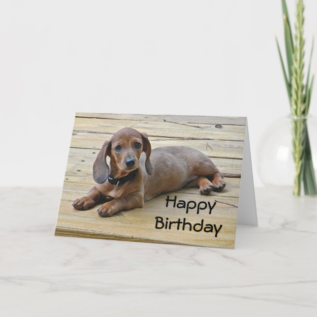 BW- Dachshund Puppy Birthday Card (Front)