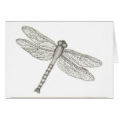 bw_dragonfly05 001 (Front Horizontal)