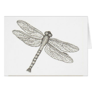 bw_dragonfly05 001 cards