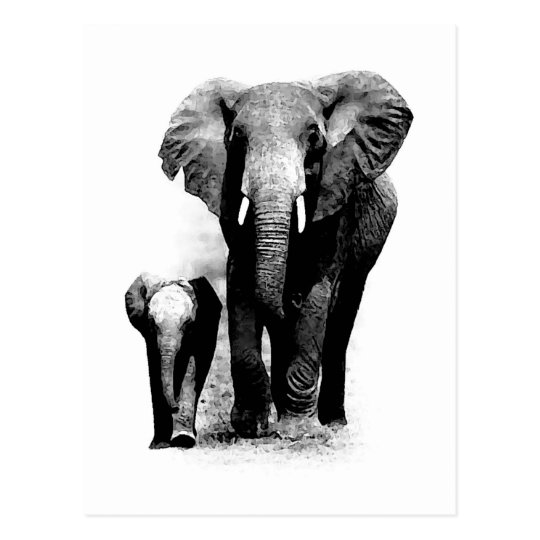 Bw Elephant Baby Elephant Postcard Zazzle Com