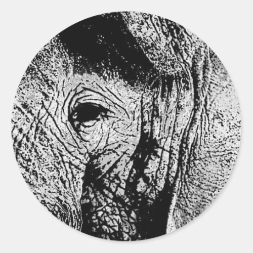 BW Elephant Eye Classic Round Sticker