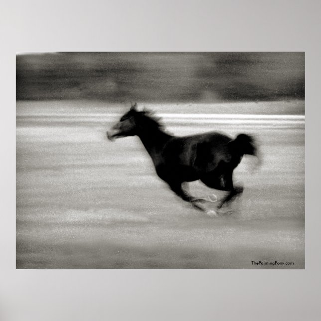 BW Galloping Horse Poster (Front)