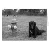 bw_good_one (Front Horizontal)