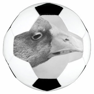 BW Goose Soccer Ball