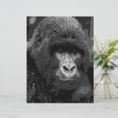 BW Gorilla Face (Standing Front)