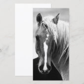 BW Horse Portrait (Front/Back)