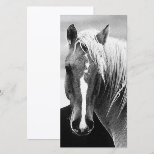 BW Horse Portrait (Front/Back)