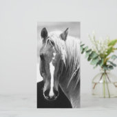 BW Horse Portrait (Standing Front)