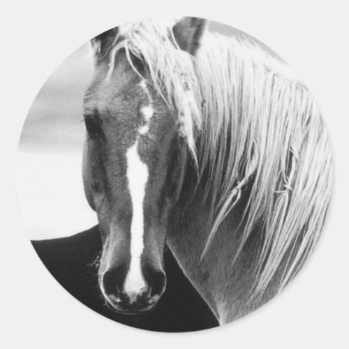BW Horse Portrait Classic Round Sticker