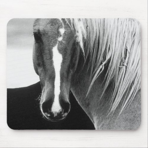 BW Horse Portrait Mouse Pad