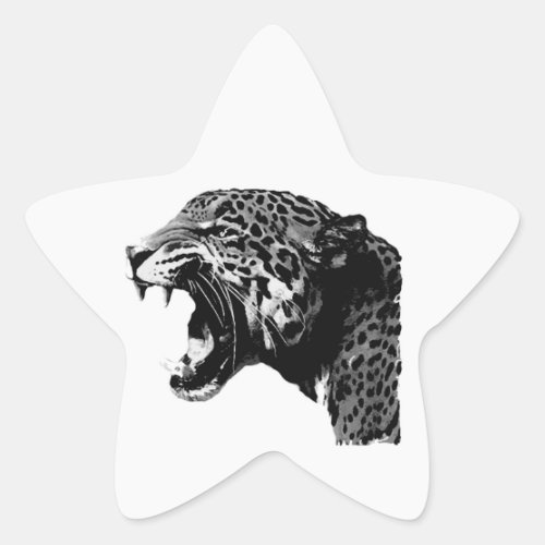 BW Jaguar Star Stickers