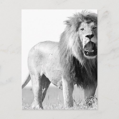 BW Lion Postcard