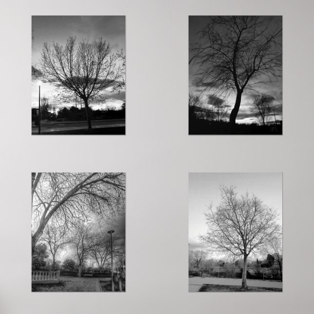 BW photography of trees Wall Art Sets (Front)