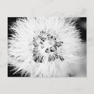 bw * postcard