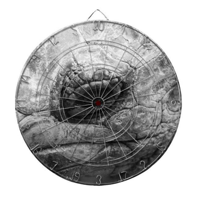 BW Tortoise Dart Board (Front)