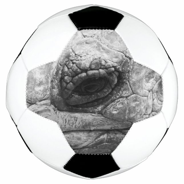 BW Tortoise Soccer Ball (Front)