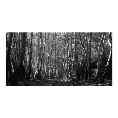 BW Trees Card