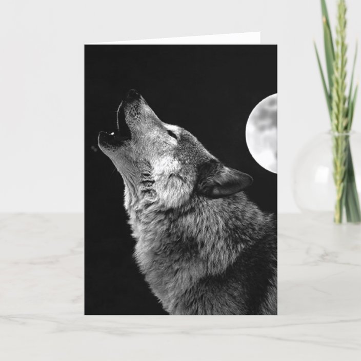 Bw Wolf Howling At Moon Card