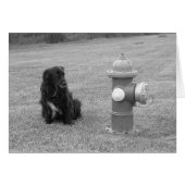 bw_your_turn (Front Horizontal)