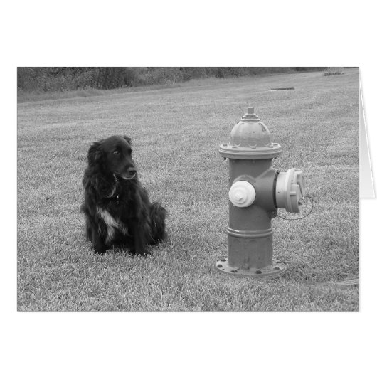 bw_your_turn (Front Horizontal)