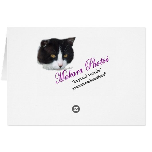 BWThinking......customize Cards (Back Horizontal)