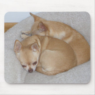BY- Cute Chihuahua Puppy Dogs Mousepad