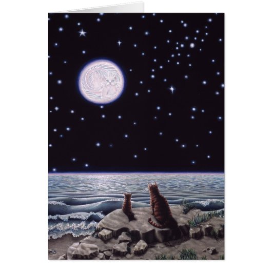 By the Light of the Cat Fish Moon Cards (Front)