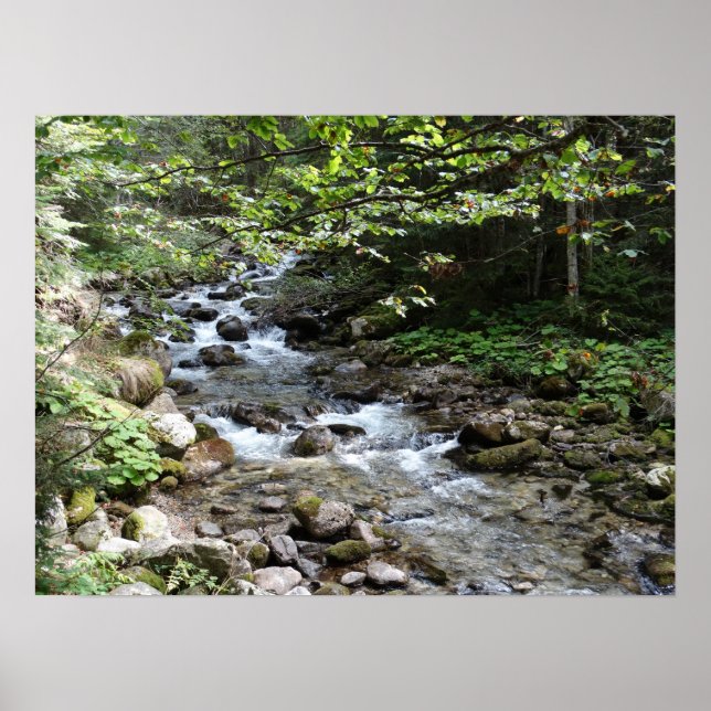 By The River Photography Poster (Front)