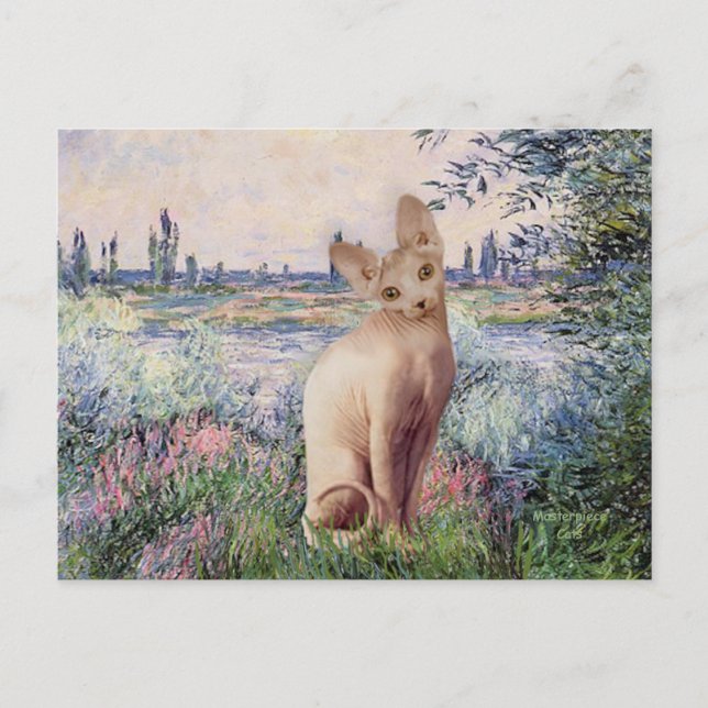 By the Seine - Cream Sphynx cat Postcard (Front)