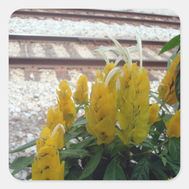 By the Tracks Sticker (Front)