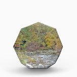 By the Water! Acrylic Award<br><div class="desc">By the water at the creek and nestled within the mountains of Chimney Rock. This makes gift items</div>