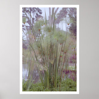 By the Water, Santa Barbara (poster) Poster