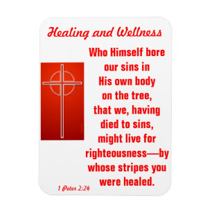 By Whose Stripes You Were Healed Magnet