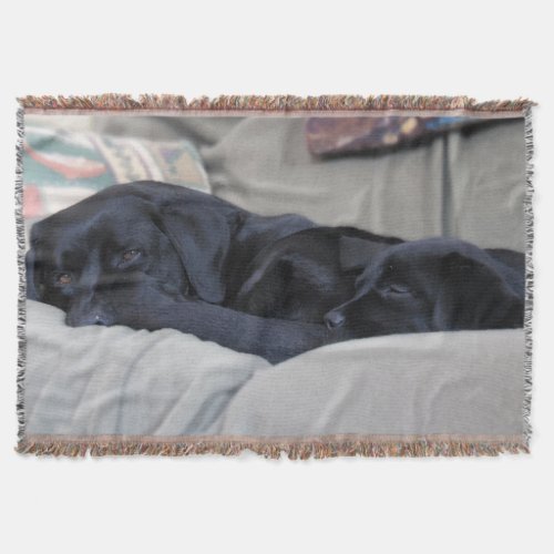 By Your Side _ Black Labrador Throw Blanket