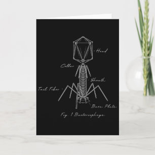 Bycteriophage Microbiology Diagram Biology Virolog Card