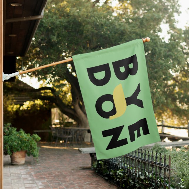 ByeDon Flag (In SItu)