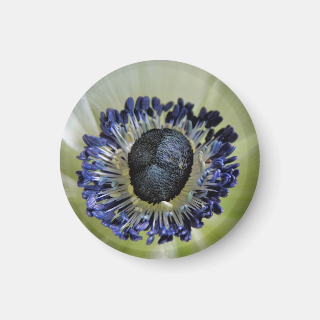 Byzantine Gladiolus Magnet (Front)