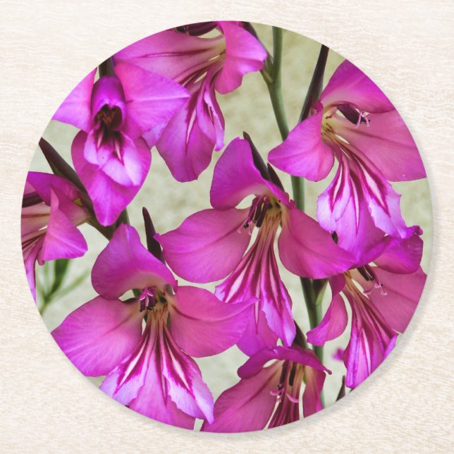 Byzantine Gladiolus Round Paper Coaster (Front)
