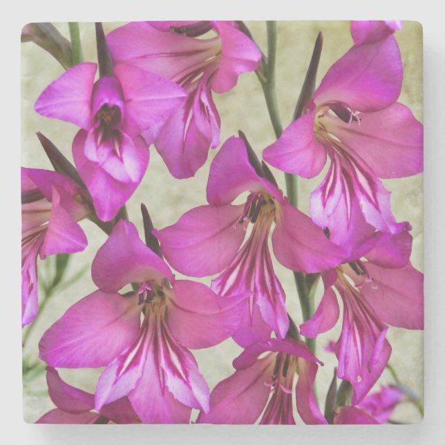 Byzantine Gladiolus Stone Coaster (Front)