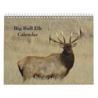 C10 Big Bull Elk Calendar