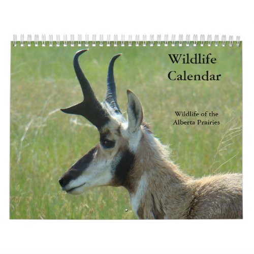 C14 Wildlife Calendar