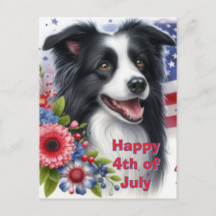 C4th of July Border Collie Holiday Postcard