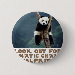 c7.png button