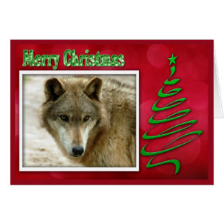 c-2011-grey-wolf-048 cards