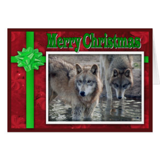 c-2011-grey-wolf-053 cards