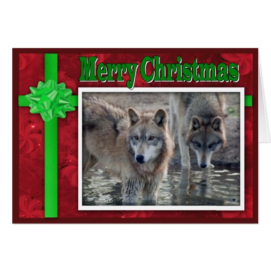 c-2011-grey-wolf-053 cards (Front Horizontal)