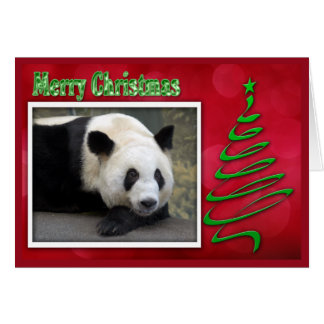 c-2011-panda-0059 cards