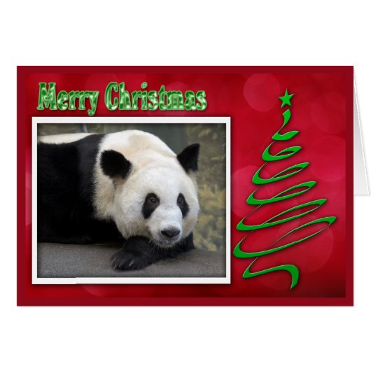 c-2011-panda-0059 cards (Front Horizontal)