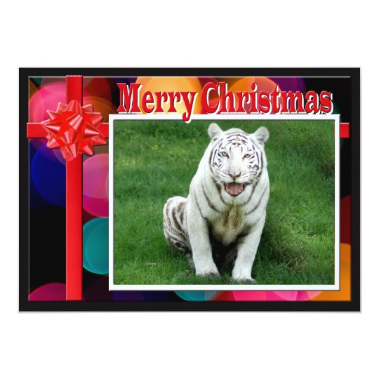 c-2011-white-tiger-022 card